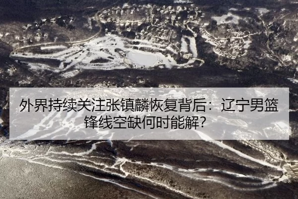 wai-jie-chi-xu-guan-zhu-zhang-zhen-lin-hui-fu-bei-hou-liao-ning-nan-lan-feng-xian-kong-que-he-shi-neng-jie-2-910.jpg
